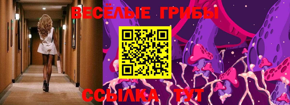Псилоцибиновые грибы MAGIC MUSHROOMS  Вход с VPN  Выборг 
